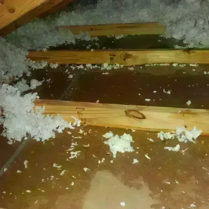 Attic Water Damage in Shelby County, KY